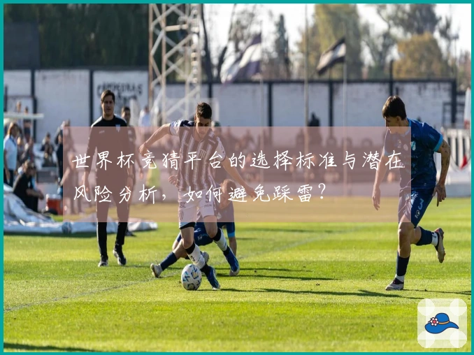 世界杯竞猜平台的选择标准与潜在风险分析，如何避免踩雷？