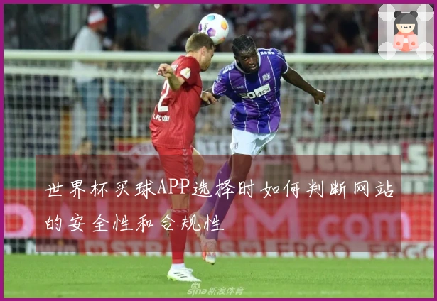 世界杯买球APP选择时如何判断网站的安全性和合规性