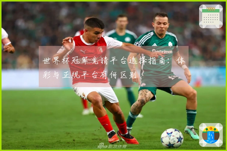 世界杯冠军竞猜平台选择指南：体彩与正规平台有何区别