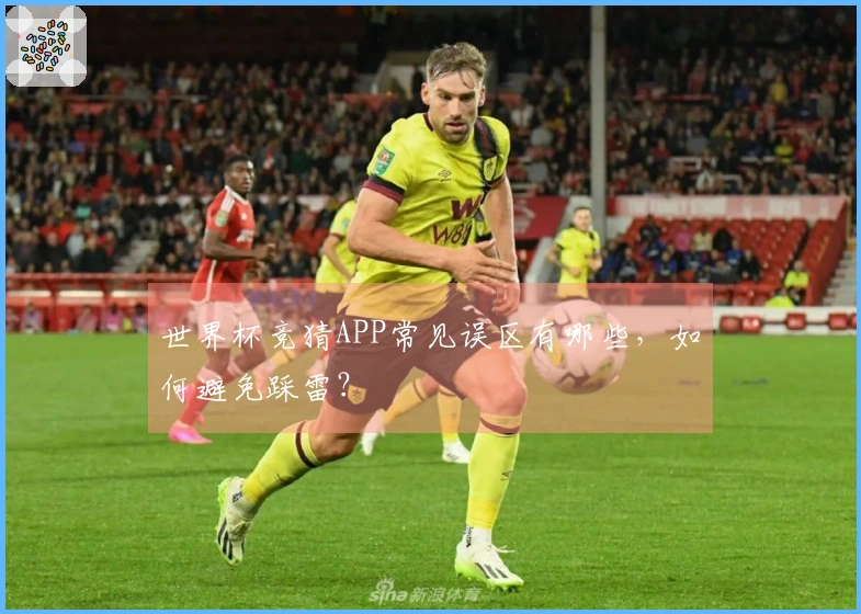 世界杯竞猜APP常见误区有哪些，如何避免踩雷？