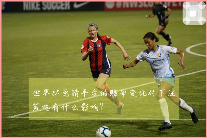 世界杯竞猜平台的赔率变化对下注策略有什么影响?