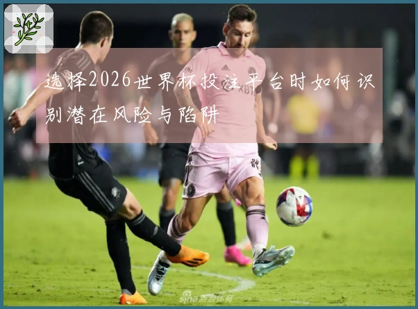 选择2026世界杯投注平台时如何识别潜在风险与陷阱